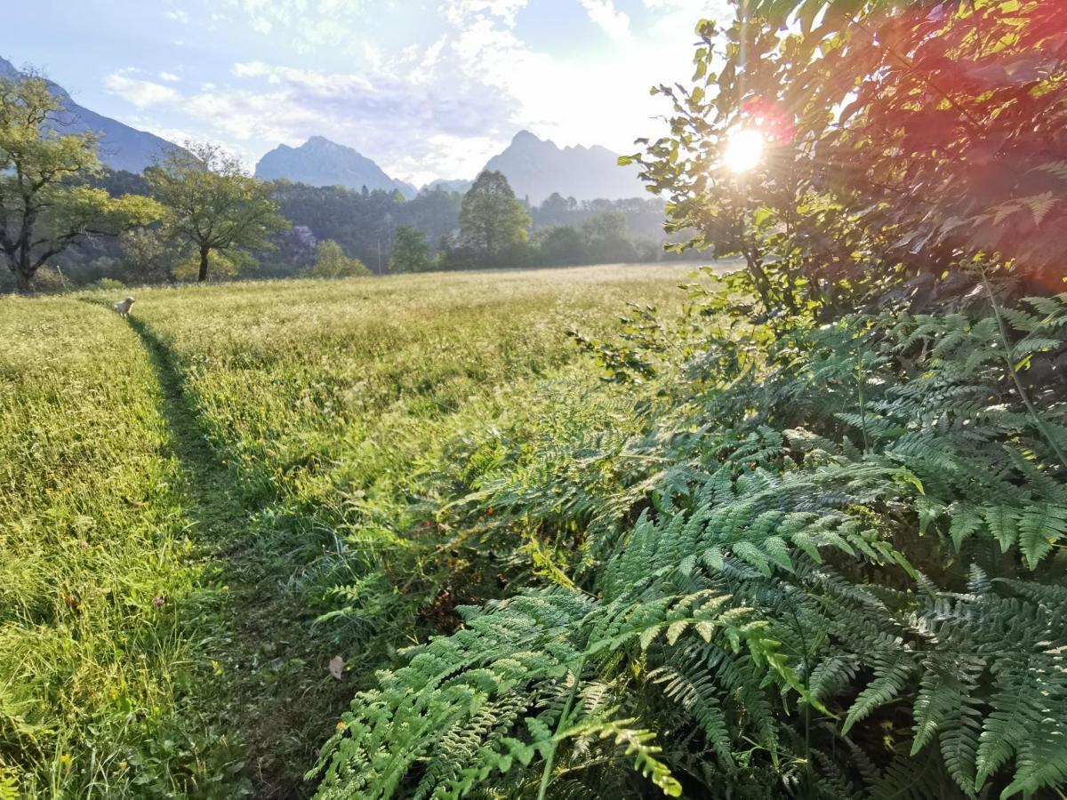 Apartma Miko Bovec Zewnętrze zdjęcie
